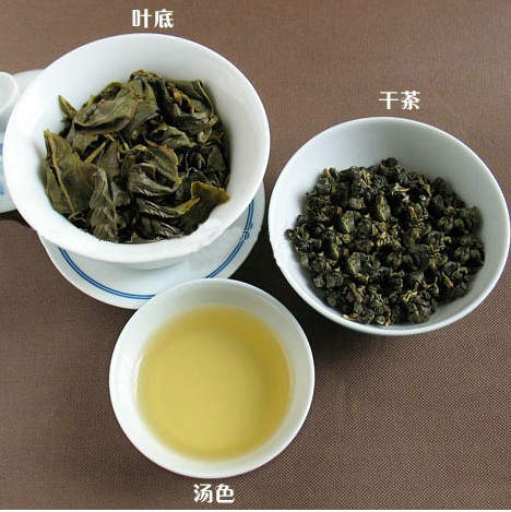 茶艺培训